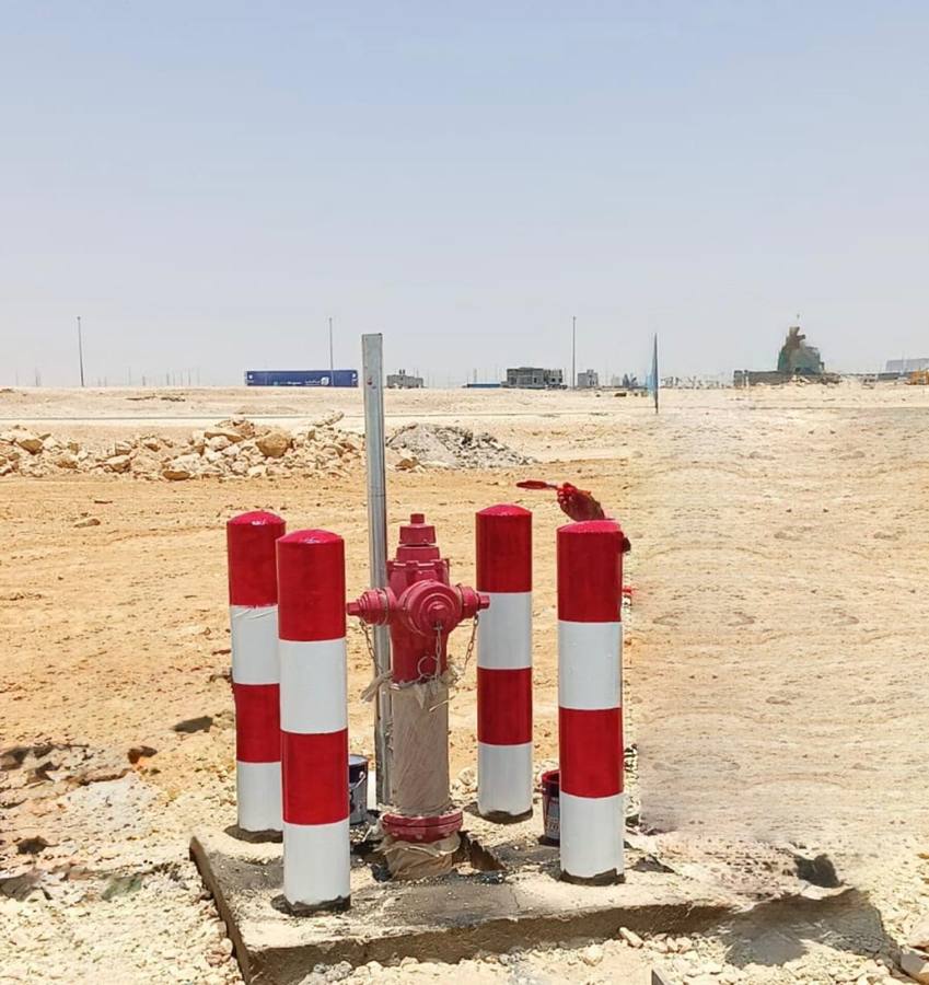 Fire hydrant with protective bollards